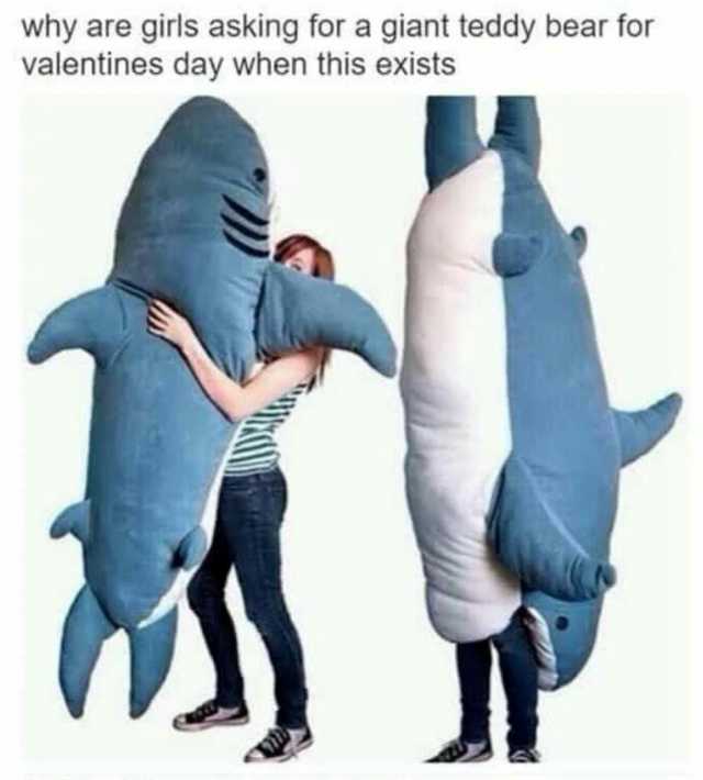 why are girls asking for a giant teddy bear for valentines day when this exists