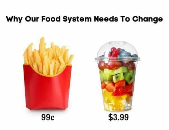 Why Our Food System Needs To Changge 99c $3.99