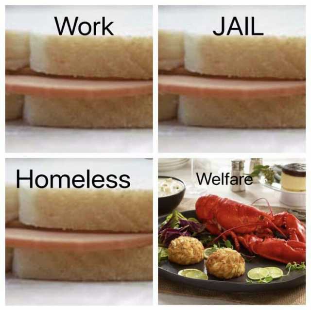 Work JAIL Homeless Welfare