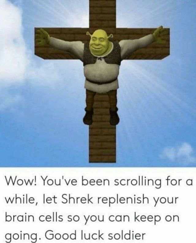 Wow! Youve been scrolling for a while let Shrek replenish your brain cells so you can keep on going. Good luck soldier