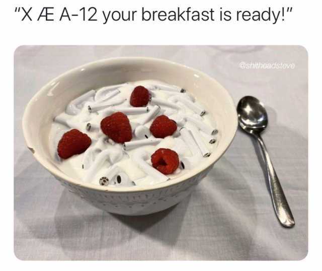XÆ A-12 your breakfast is ready! @shitheadsteve 