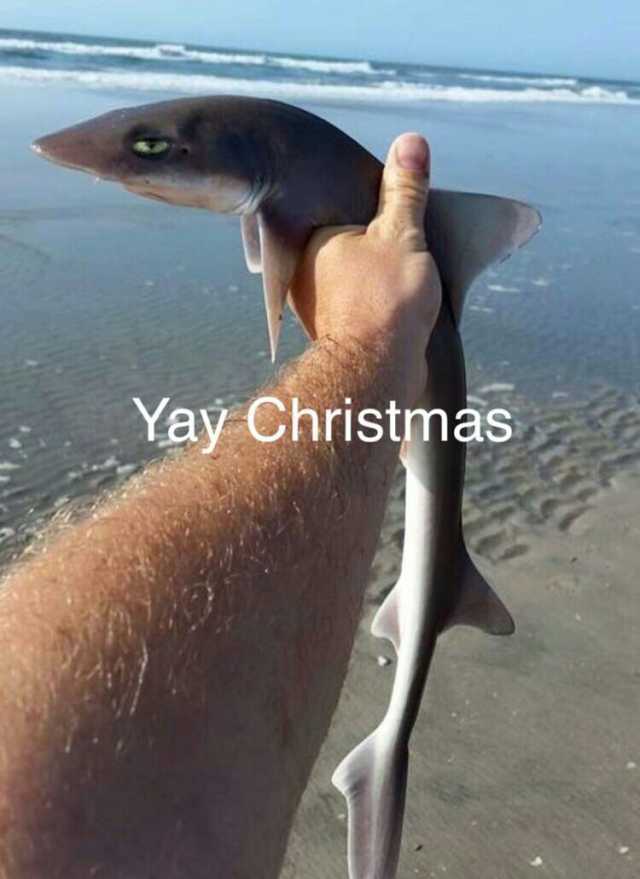 Yay Christmas