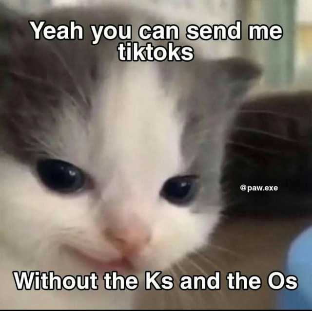 Yeah you can send me tiktoks @paw.exe Without the Ks and the Os