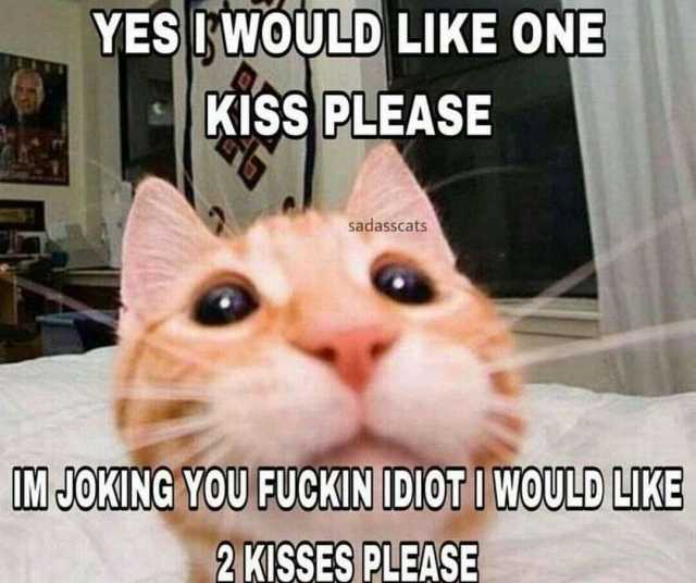 YES WOULD LIKE ONE KI$S PLEASE sadasscats M JOKING YOU FUCKIN DI0T I wOULD LIKE 2 KISSES PLEASE
