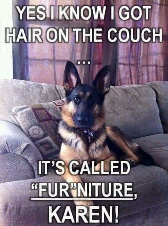 YES.IKNOW IGOT HARON THE COUCH ITSCALLED FURINITURE KAREN!