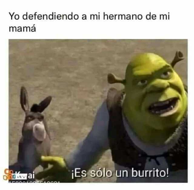 Yo defendiendo a mi hermano de mi mamá Es sólo un burrito! FAAAAaArRAAsAA