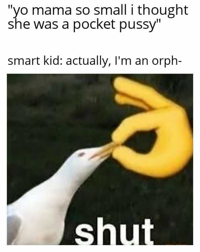 yo mama so small i thought she was a pocket pussy smart kid actually Im an orph- shut