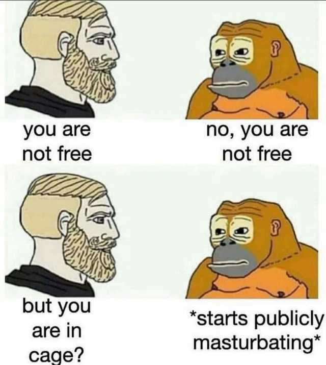 you are not free no you are not free but you starts publicly masturbating are in cage