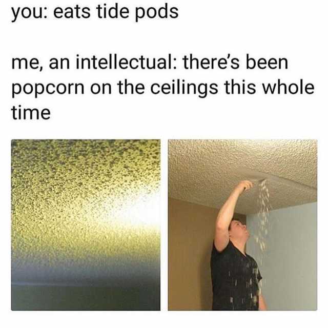 you eats tide pods me an intellectual theres been popcorn on the ceilings this whole time 