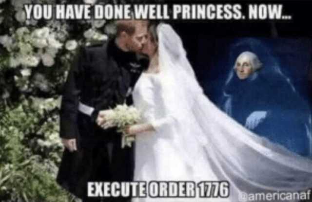 YOU HAVE DONE WELL PRINCESS. NOW. EXECUTEORDER 1776 americanaf 