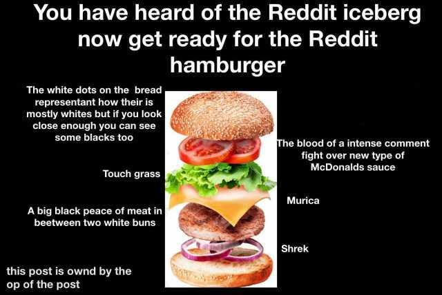 You have heard of the Reddit iceberg now get ready for the Reddit hamburger The white dots on the bread representant how their is mostly whites but if you look close enough you can see some blacks too The blood of a intense commen