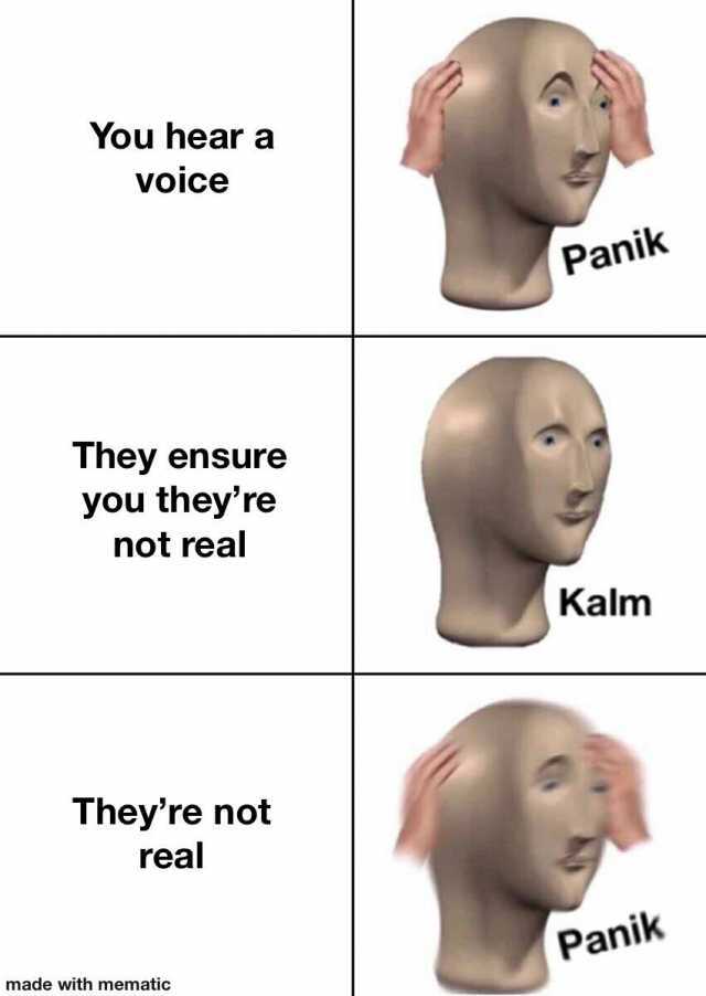 You hear a voice Panik They ensure you theyre not real Kalm Theyre not real Panik made with mematic