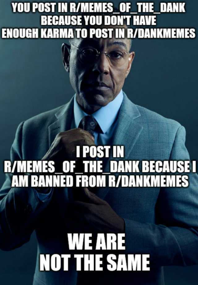 YOU POST IN R/MEMES OF_THE_DANK BECAUSE YOU DONT HAVE ENOUGH KARMATO POST IN R/DANKMEMES IPOSTIN R/MEMES OF_THE DANK BECAUSEI AM BANNED FROM R/DANKMEMES WE ARE NOT THE SAME