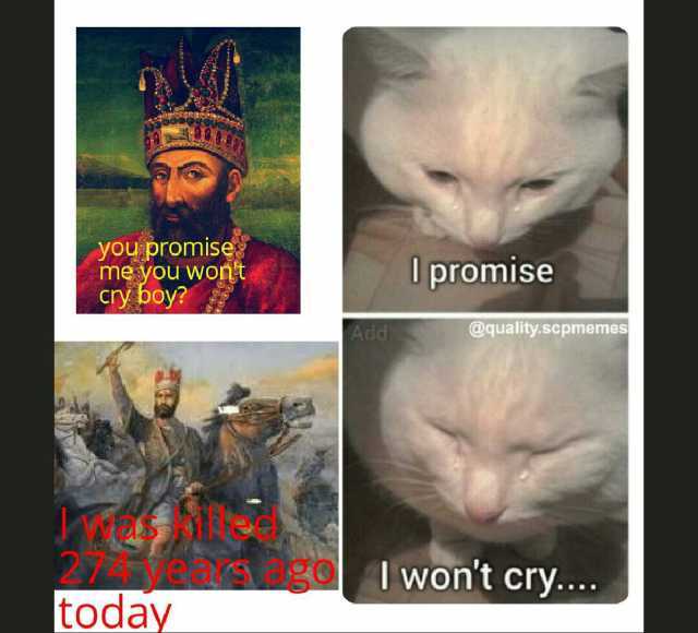 you promise me you wont cry boy promise Add @quality.scpmemes Iwont cry.. today