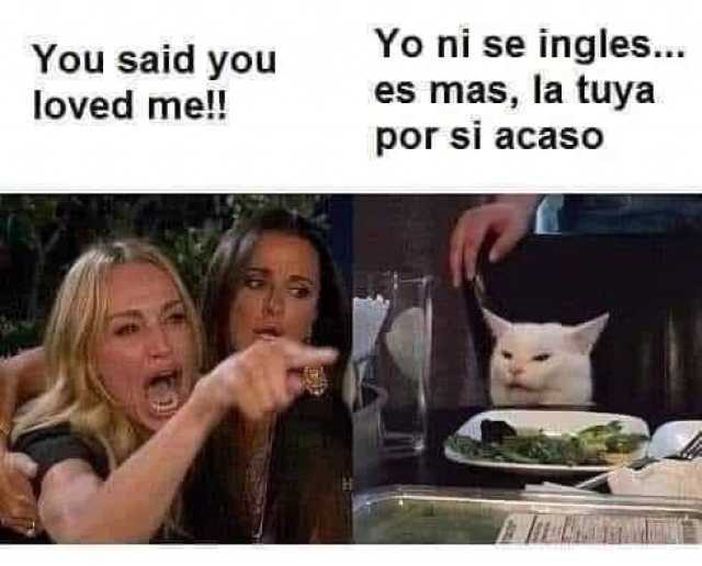 You said you loved me!! Yo ni se ingles... es mas la tuya por si acaso 