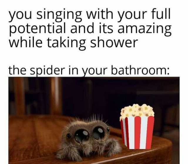 you singing with your full potential while taking shower and its amazing the spider in your bathroom