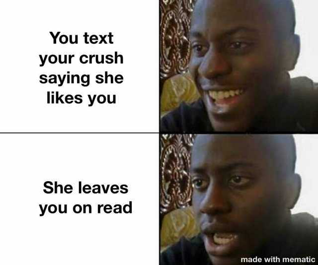 You text your crush saying she likes you She leaves you on read made with mematic