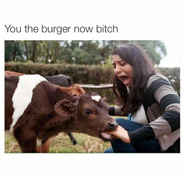 You the burger now bitch