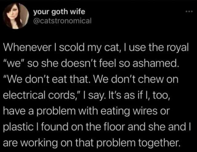 your goth wife @catstronomical Whenever I scold my cat I use the royal we so she doesnt feel sO ashamed. We dont eat that. We dornt chew on electrical cords I say. Its as if I too have a problem with eating wires or plastic I foun