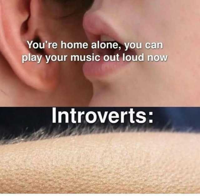 Youre home alone you can play your music out loud now Introverts