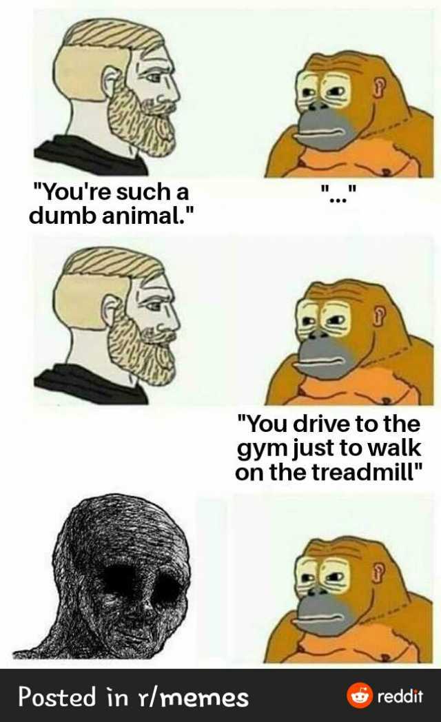 Youre such a dumb animal. You drive to the gym just to walk on the treadmill Posted in r/memes reddit