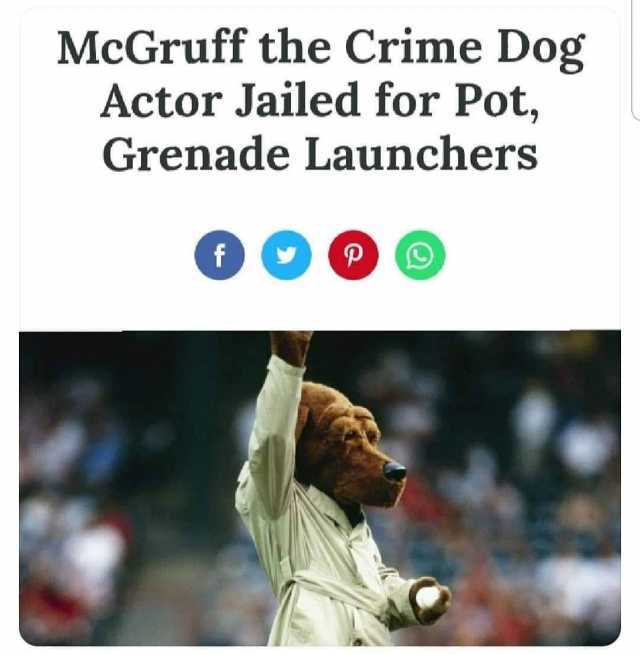 Mcgruff The Crime Dog Actor Sentenced To 16 Years For Pot 