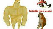 Meme divertido plantillas de meme famosas en internet humor sismo 19 septiembre 2022 cdmx perro musculoso vs perro enclencle.
