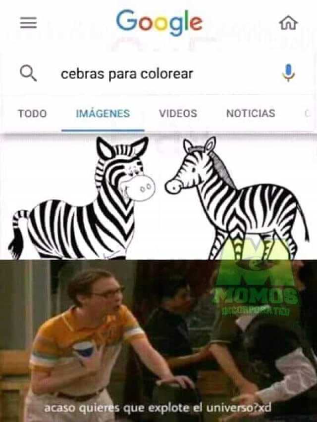 Dopl3rcom Memes Google Cebras Para Colorear Todo Imagenes