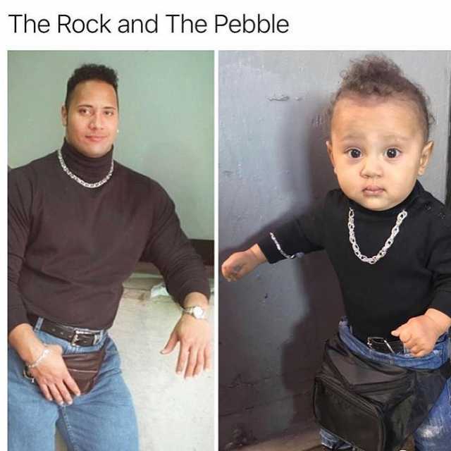 dopl3r.com - Memes - The Rock and The Pebble